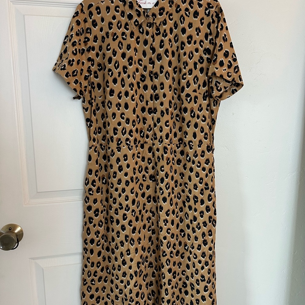 A New Day Tan and Cream Peter Pan Collar Midi Dress